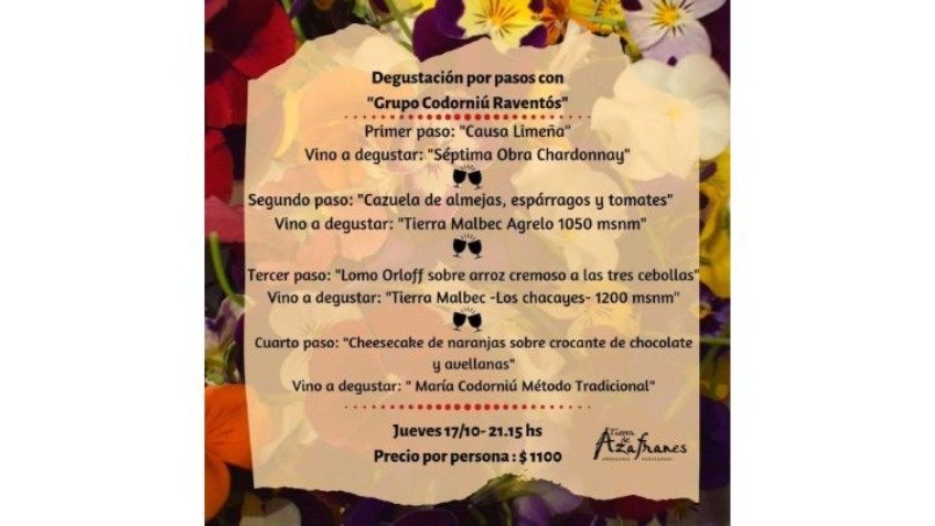 Degustación por pasos con Grupo Codorniú Raventós